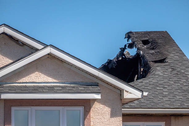 Licensed Content Restoration service in Jackson, NJ - Fire Damage Biloxi